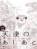 天使的足迹